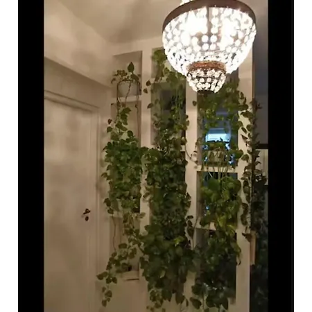 Casa Serenissima Barbara Bonanno Rome
